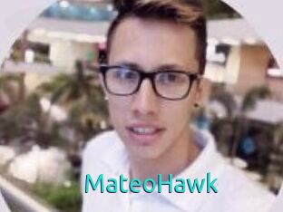 MateoHawk