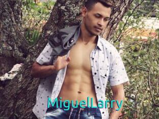MiguelLarry
