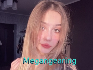 Megangearing
