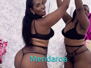 Meridaroa