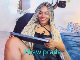 Miaw_prada