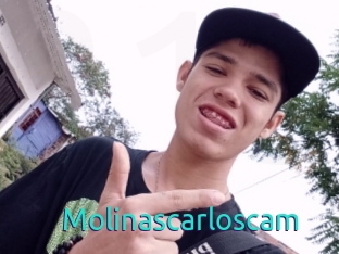 Molinascarloscam