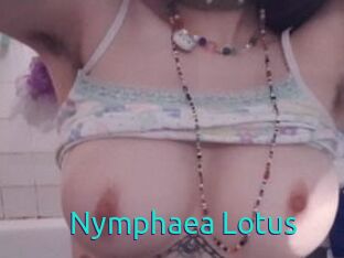Nymphaea_Lotus
