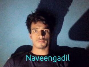 Naveengadil