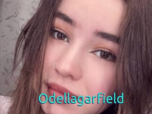 Odellagarfield
