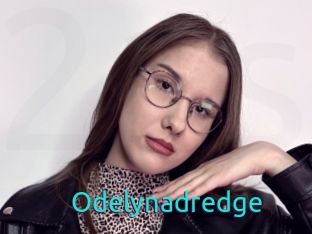 Odelynadredge
