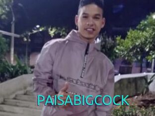 PAISABIGCOCK
