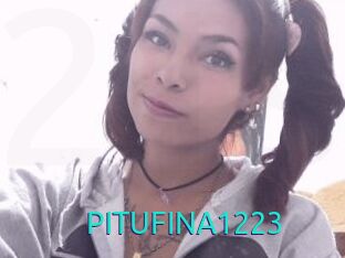 PITUFINA1223