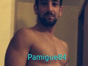 Pamigue84