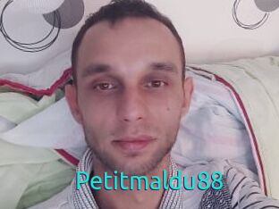 Petitmaldu88