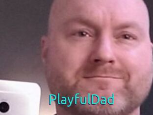 PlayfulDad