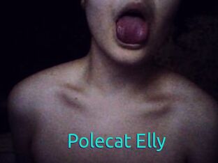 Polecat_Elly