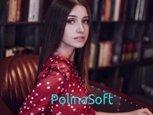 PolinaSoft