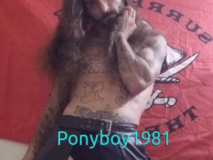 Ponyboy1981