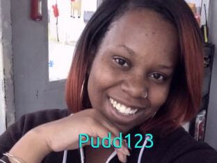 Pudd123