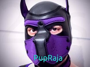 PupRaja