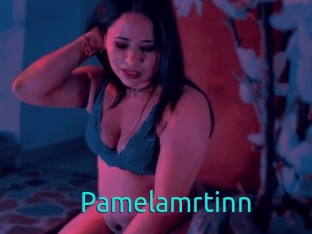 Pamelamrtinn