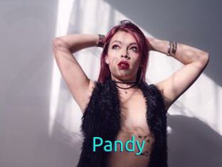Pandy