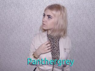 Panthergrey