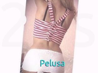 Pelusa
