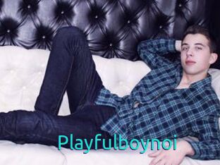 Playfulboynoi