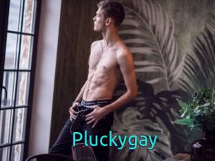 Pluckygay
