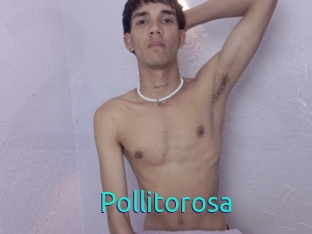 Pollitorosa