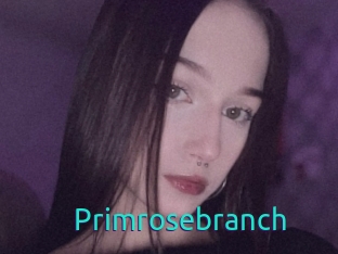 Primrosebranch