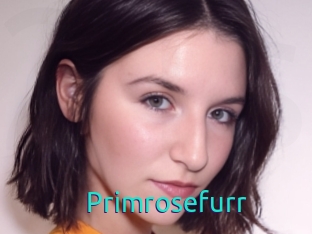 Primrosefurr
