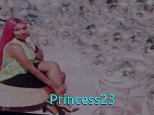 Princess23