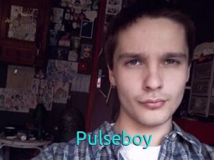 Pulseboy