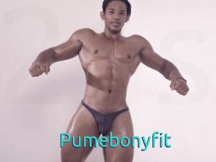 Pumebonyfit