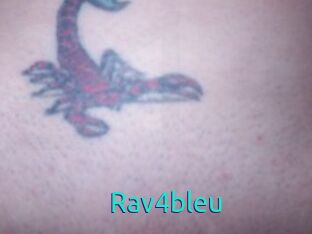 Rav4bleu