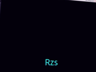Rzs