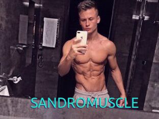 SANDRO_MUSCLE