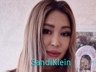 SandiKlein
