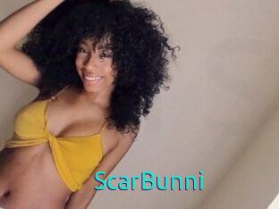ScarBunni