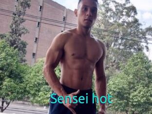 Sensei_hot