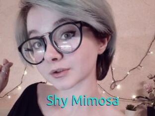 Shy_Mimosa