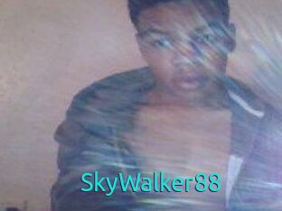 SkyWalker88