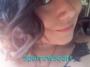 SparrowSoars