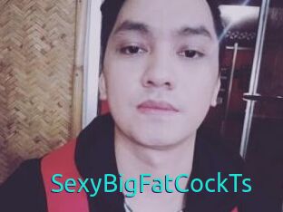 _SexyBigFatCockTs_