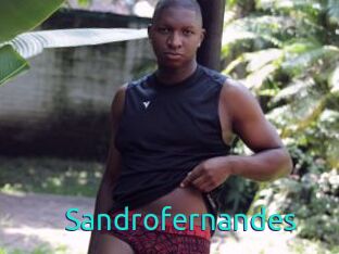 Sandrofernandes