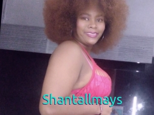 Shantallmays