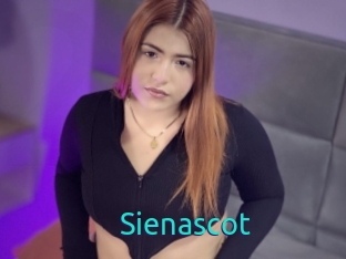 Sienascot