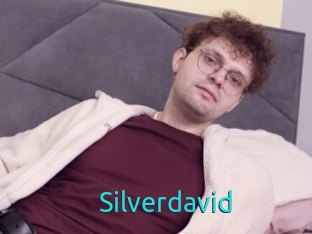 Silverdavid