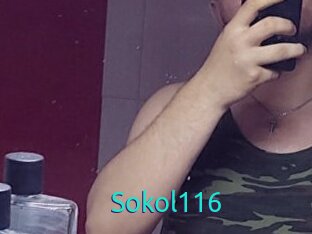 Sokol116