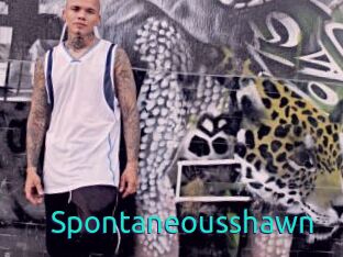 Spontaneousshawn