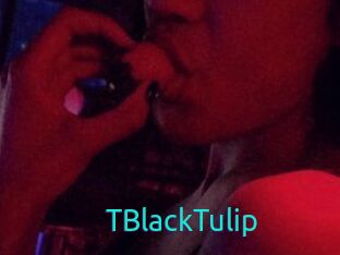 TBlackTulip