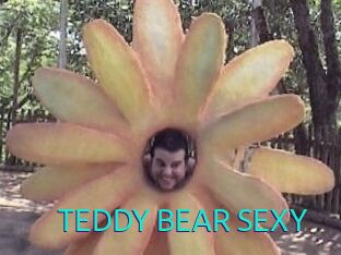 TEDDY_BEAR_SEXY